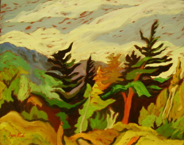 Woodland-Lush