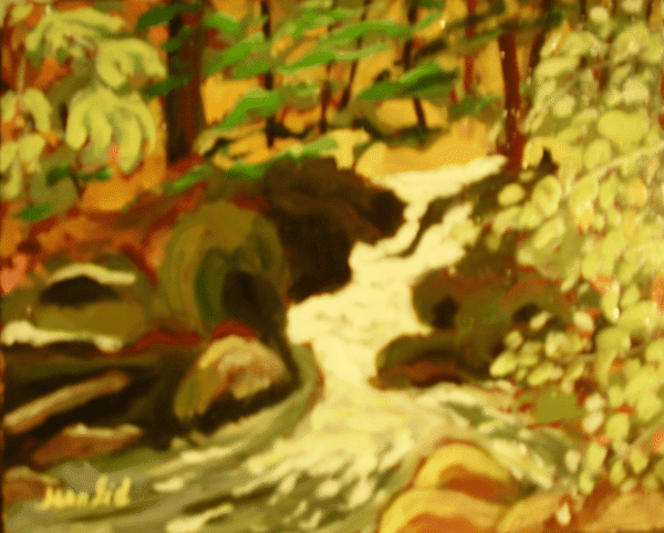 water-rapid