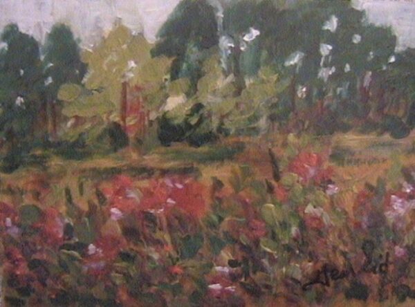 Field-of-Flowers