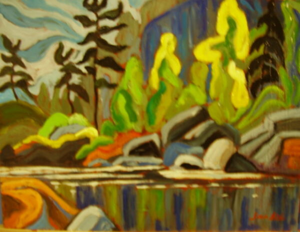 Woodland-Reflections
